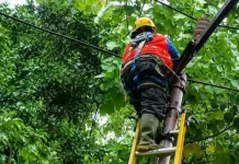 Kabel Listrik Terurai Warga Desak PLN Pasang Tiang