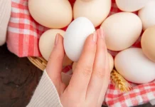 Telur Asin, Pangan Bergizi dengan Cita Rasa Khas