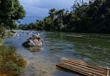Hari Sungai Nasional, Momentum Tingkatkan Kepedulian Jaga Kelestarian Sungai