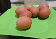 Telur Rebus, Makanan Sehat Kaya Nutrisi