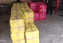 Tim Gabungan Berhasil Amankan Puluhan Dus Kosmetik Ilegal dari Filipina