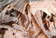 Inovasi Unik UMKM Ubah Batang Pisang Jadi Keripik