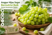 Anggur Hijau Segar Bernutrisi Baik untuk Kesehatan Tubuh