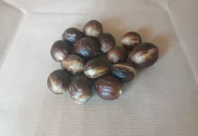 Wajah Cerah dan  Bebas Jerawat Dengan Biji Pala