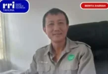 Pemilihan Ungke Momo Sangihe Warisan  yang harus Dilestarikan