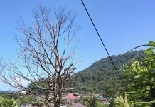 Cuaca Sangihe Diprakirakan Cerah Berawan