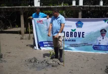 Pemkab Sitaro Tanam 1.100 Pohon Mangrove di Kampung Kapeta