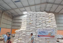 Pemkab Sangihe Perkuat Cadangan Pangan Hadapi El Niño
