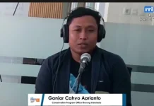 Hutan Terus Berkurang, Ekosistem Terancam