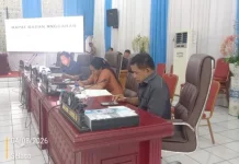 Anggota Legislatif, Salettia Soroti Pembayaran TPP dan PAD pada Rapat KUA-PPAS