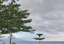 Cuaca Sangihe diprakirakan Cerah hingga Cerah Berawan