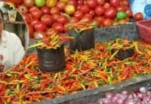Harga Rica (Cabe) di Sangihe tembus 180 Ribu Rupiah