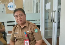 El Nino Picu Kenaikan Harga Cabai di Sangihe