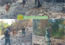 Babinsa Pantau Pasca Kebakaran Lahan di Kaluwatu