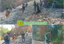 Babinsa Kodim 1301/Sangihe Pantau Pasca Kebakaran Lahan di Kaluwatu