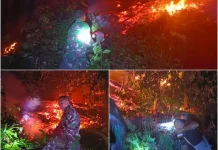 Kebakaran Hanguskan Kebun Cengkih dan Pala Warga di Tagulandang