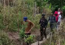 Menembus Medan Terjal, Bupati Sangihe Tembus ke titik Lokasi Kebakaran Gunung Awu