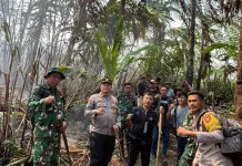 Pemda, Relawan dan TNI Polri Berupaya Padamkan Kebakaran Gunung Awu