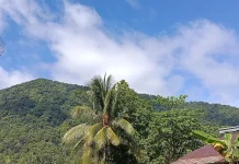 Cuaca Sangihe Hari Ini Cerah Berawan, Warga Diminta Waspada Karhutla