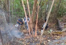 Tim Karhutla Polres Sangihe Padamkan Api Gunung Awu
