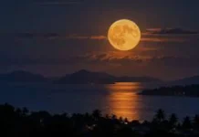 Fenomena Harvest Moon, Hiasi Langit Indonesia Malam Ini