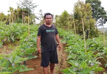 Potensi Pertanian di Kabupaten Kepulauan Sangihe