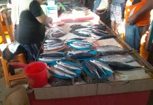 Daya Beli Menurun, Penjualan Ikan di Pasar Manganitu Lesu