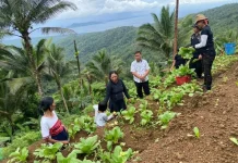 El Niño, Petani Sangihe Kesulitan Air untuk Lahan Pertanian