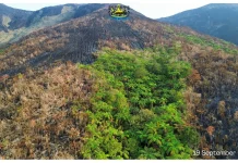 Kebakaran Gunung Awu Terkendali, Bupati: Tinggal Api Kecil di Lereng