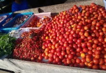 Harga Rica dan Tomat Naik, Belanja Warga Makin Berat