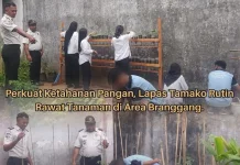 Lapas Tamako Optimalkan Ketahanan Pangan melalui Perawatan Tanaman Branggang