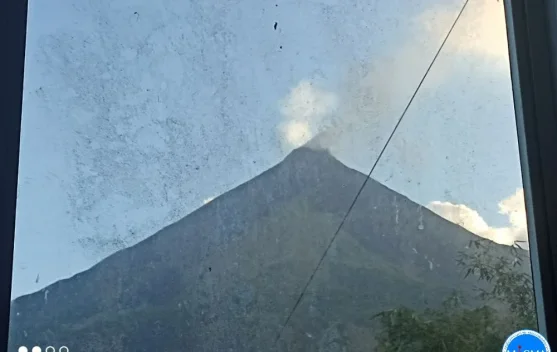 Gunung  Api  dan Manfaat Disektor Pertanian Pala