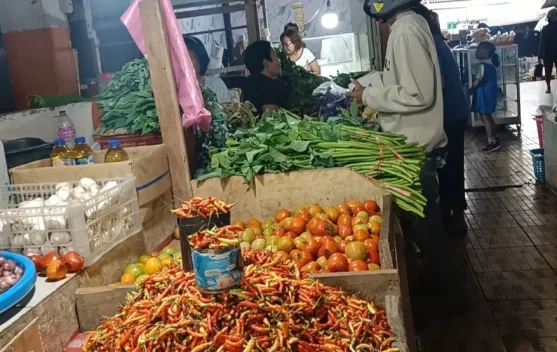 Harga Cabai Rawit di Tahuna Cenderung Naik
