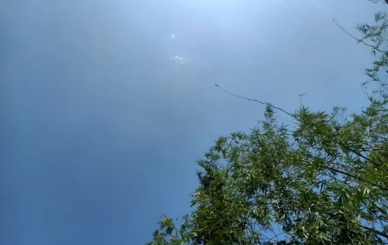 Cuaca Sangihe di Prakirakan Cerah Berawan