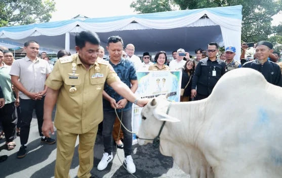 Pemprov Sulut Salurkan 46 Hewan Kurban Sambut Idul Adha 1447 H