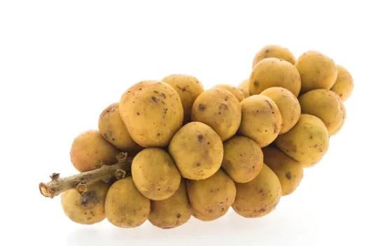 Manfaat Buah Langsat bagi Kesehatan Tubuh