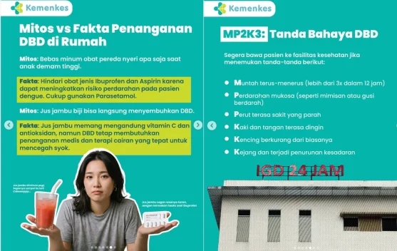 Kemenkes: Jangan Salah Tangani DBD di Rumah, Kenali Mitos dan Faktanya