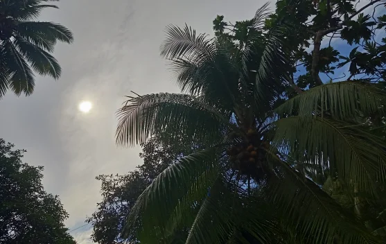 Cuaca Sangihe Diprakirakan Cerah Berawan hingga Berawan