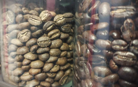 Mengenal Perbedaan Proses Full Washed dan Natural pada Biji Kopi