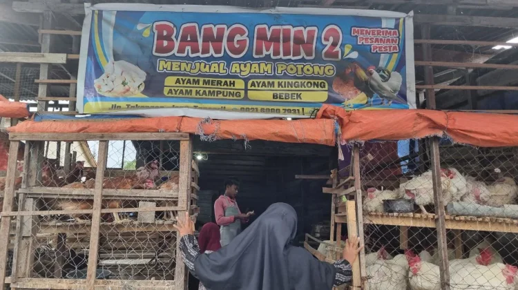 Harga Jual Ayam di Takengon Melambung
