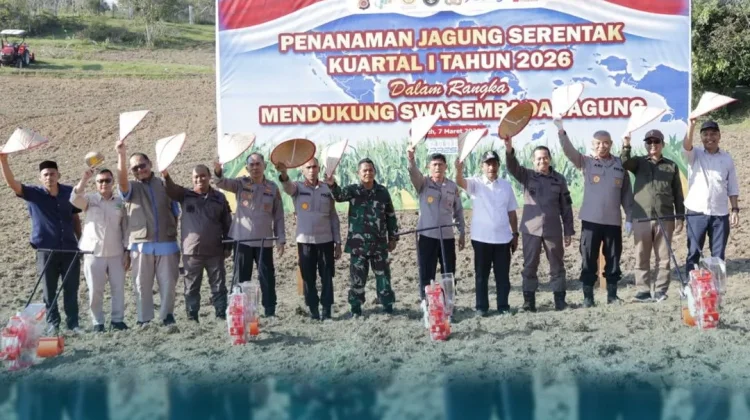 Polda Aceh Tanam  Jagung Serentak