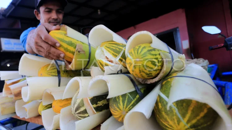Timun Suri Jadi Buruan Warga saat Ramadan, Segar dan Kaya Manfaat