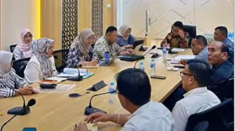 Temui Kemenkes, Bupati Gayo Lues Bahas Penguatan Layanan Kesehatan Pascabencana