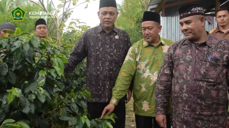 Tinjau Lahan Ekoteologi, Kakankemenag Bener Meriah Ikut Panen Kopi dan Sayur