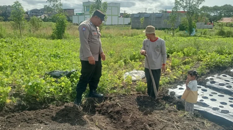 Polsek Bukit Data Lahan Produktif