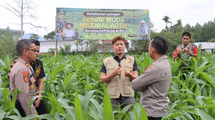 Kapolres Aceh Tengah Tinjau Perkembangan Tanaman Jagung Program Ketahanan Panga