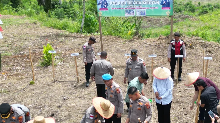 Polres Bener Meriah Dukung Swasembada Pangan Melalui Penanaman Jagung Kuartal II