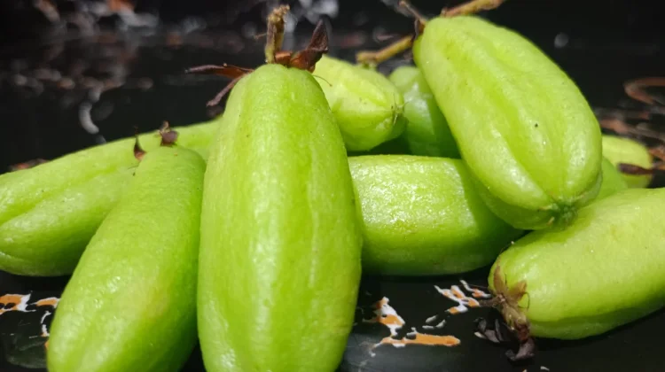 Buah Asam Sunti Khas Aceh Jadi Primadona Bumbu Masakan