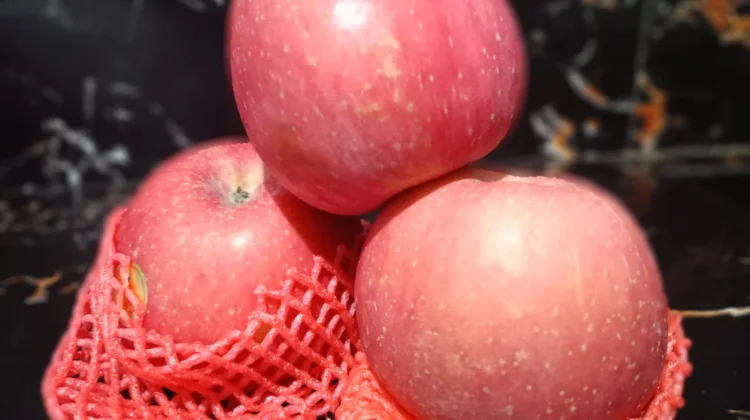 Fakta Unik Buah Apel, Si Merah yang Kaya Manfaat