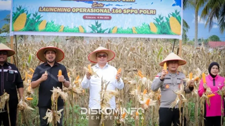 Bupati Fakhry Panen Jagung Kuartal II
